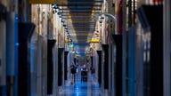 To win the AI race, US needs more than brainpower to beat China: study
