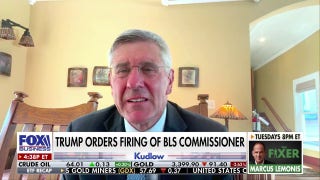 Steve Moore reveals his 'big concern' with BLS: 'We're just not getting accurate numbers' - Fox Business Video