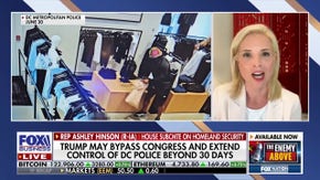 The same people saying defend the criminals are the same people saying defund the police: GOP rep - Fox Business News