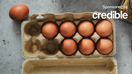 Egg prices keep soaring but inflation is moving in the right direction. - Fox Business News